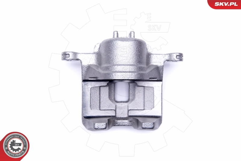 Brake Caliper 50SKV422