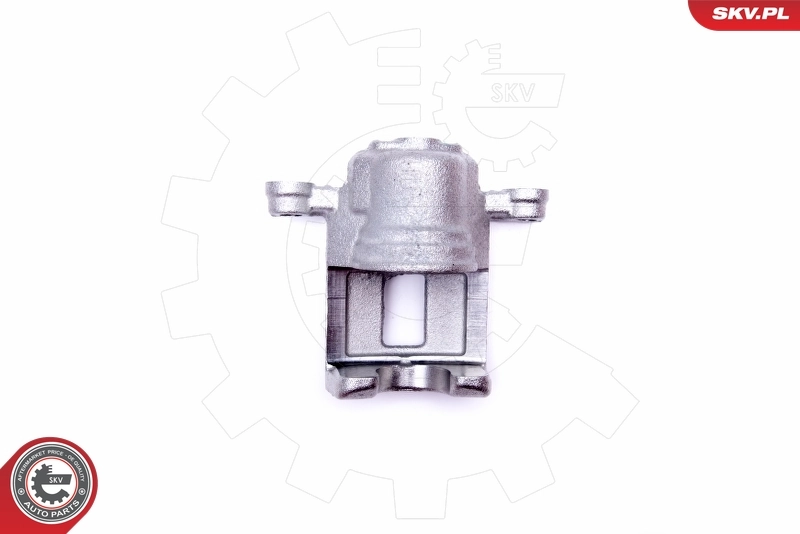 Brake Caliper 45SKV794