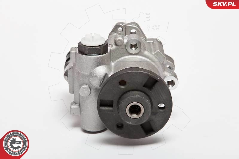 Hydraulic Pump, steering 10SKV123