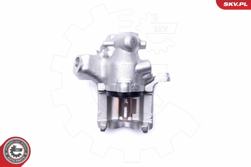 Brake Caliper 46SKV324
