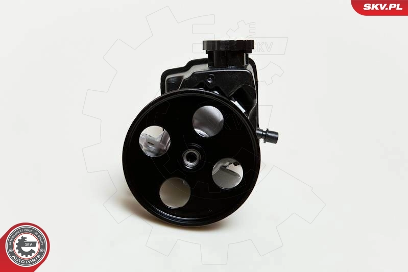 Hydraulic Pump, steering 10SKV046