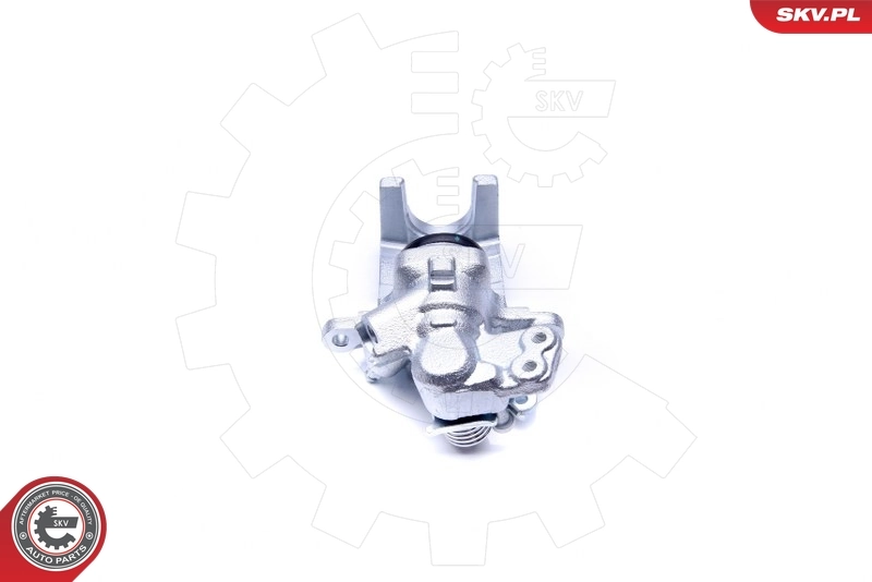 Brake Caliper 42SKV213
