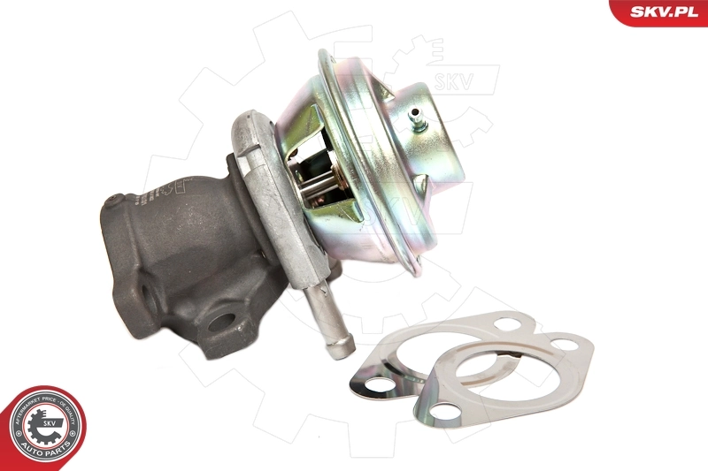 EGR Valve 14SKV062