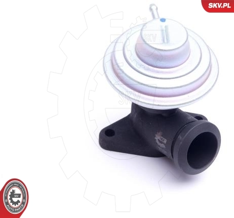 EGR Valve 14SKV205