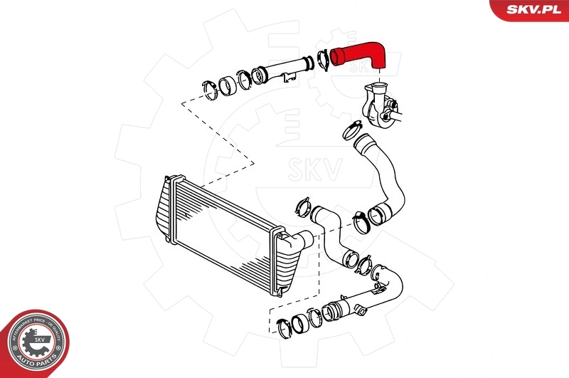 Charge Air Hose 43SKV013