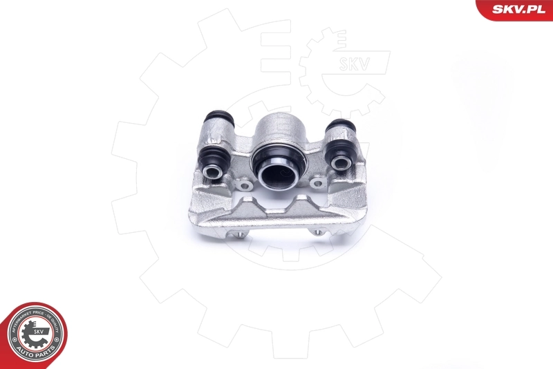 Brake Caliper 42SKV283