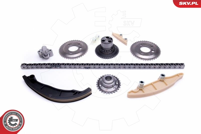 Timing Chain Kit 21SKV189