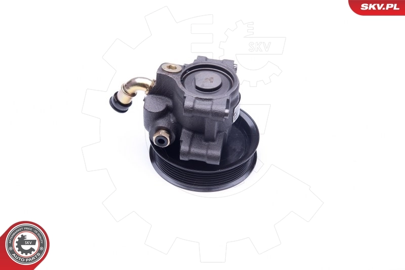 Hydraulic Pump, steering 10SKV101