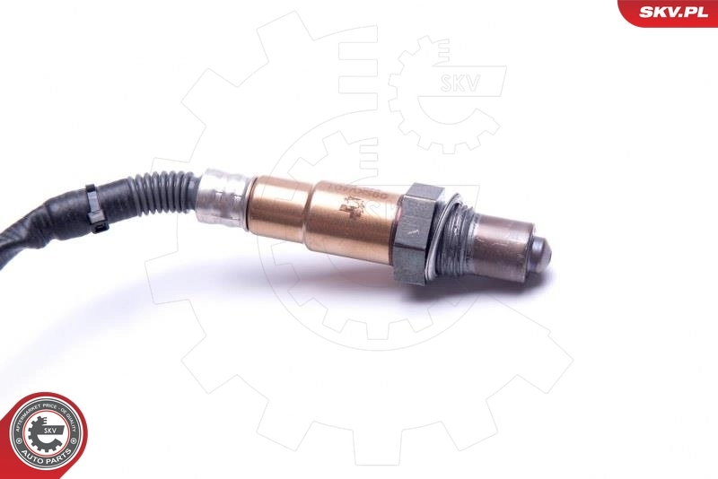 Oxygen Sensor 09SKV401