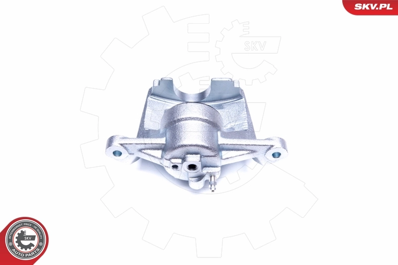 Brake Caliper 42SKV921