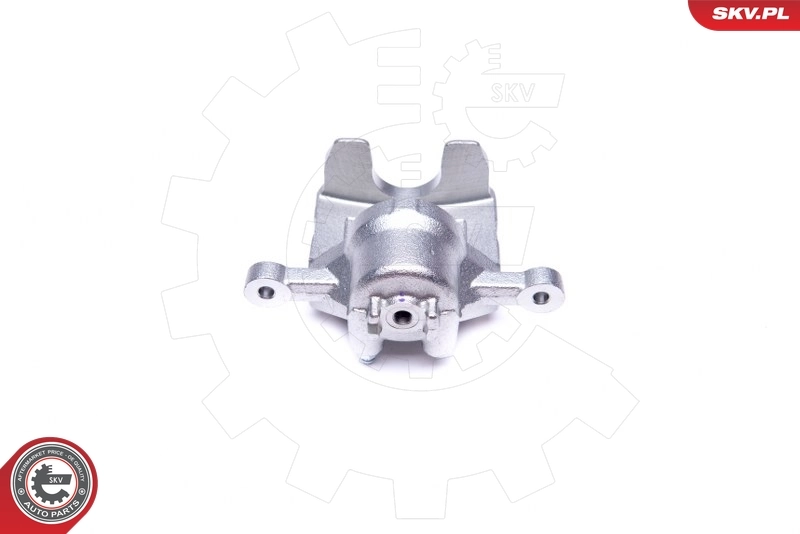 Brake Caliper 42SKV473