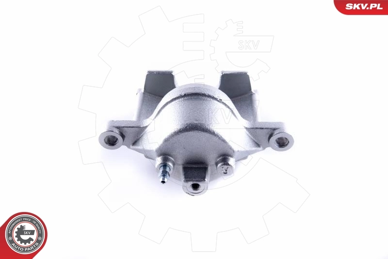 Brake Caliper 55SKV462