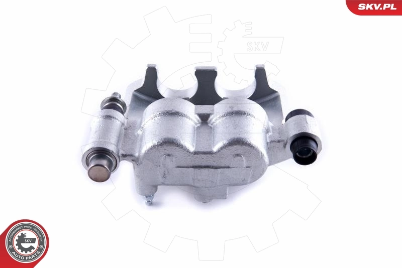 Brake Caliper 50SKV831