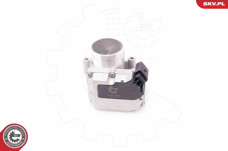 Throttle Body 12SKV063