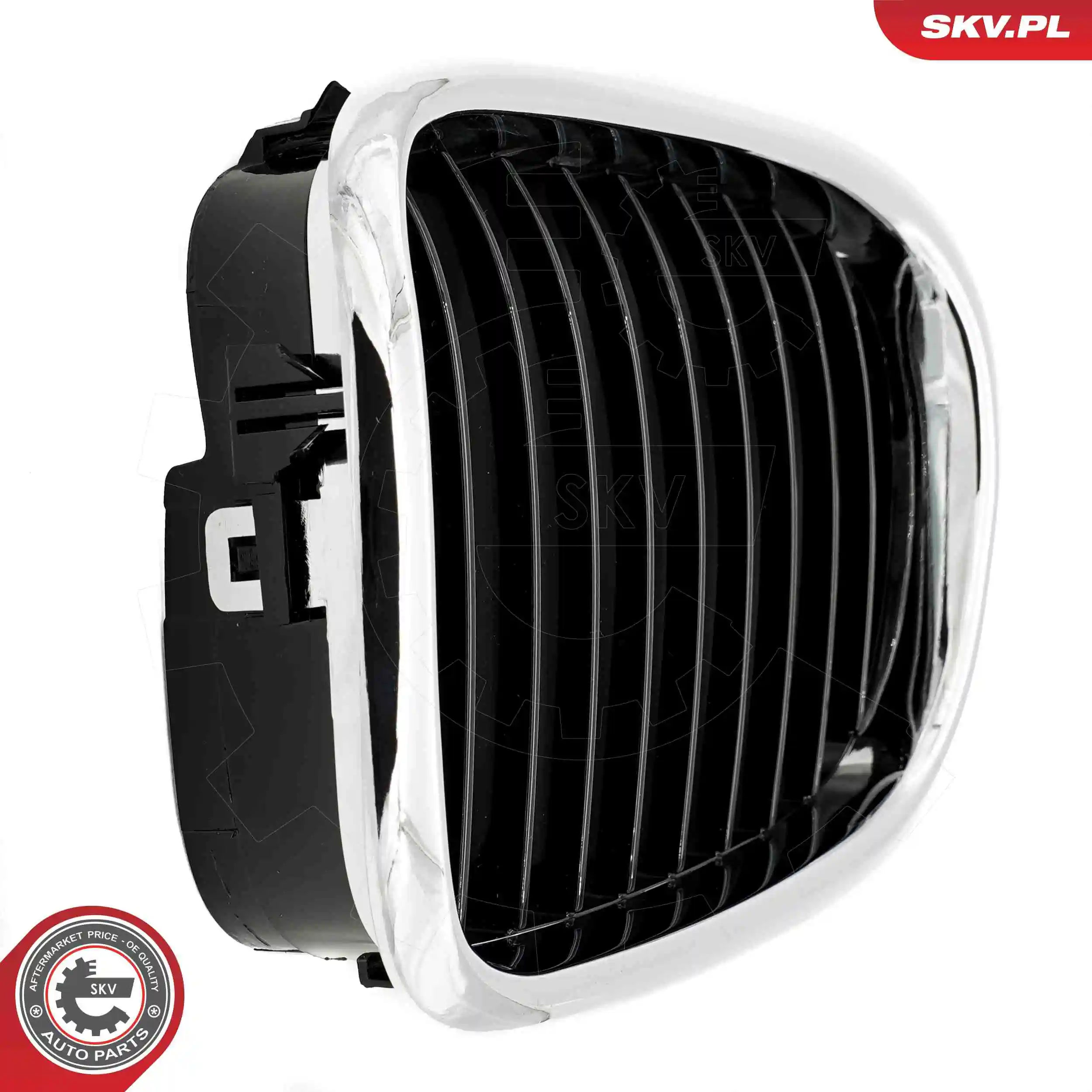 Radiator Grille 66SKV160