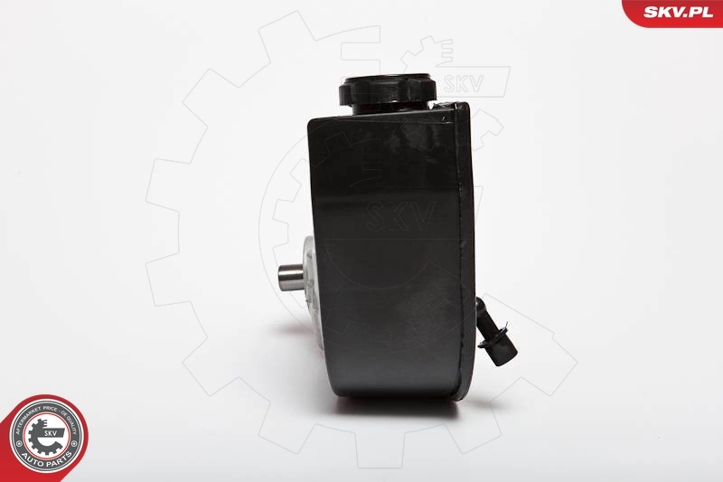 Hydraulic Pump, steering 10SKV090