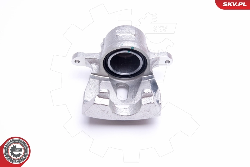 Brake Caliper 45SKV811