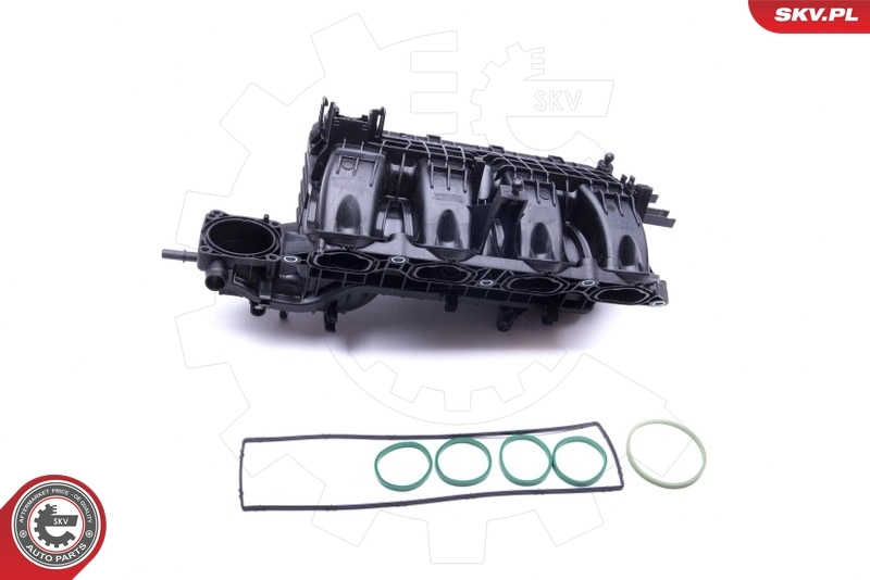 Intake Manifold Module 49SKV026