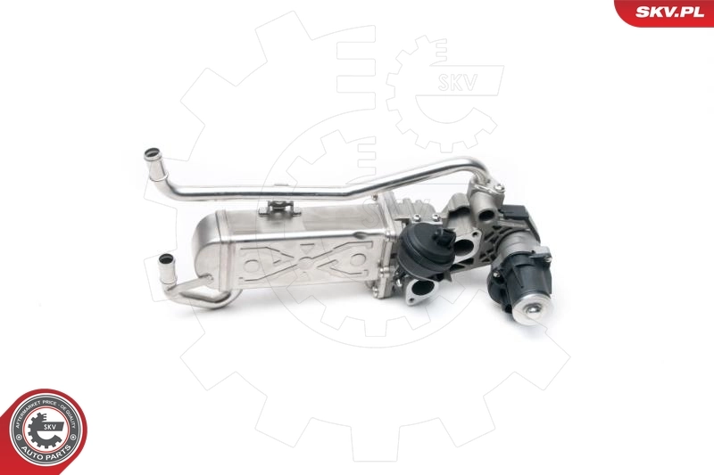 EGR Valve 14SKV096
