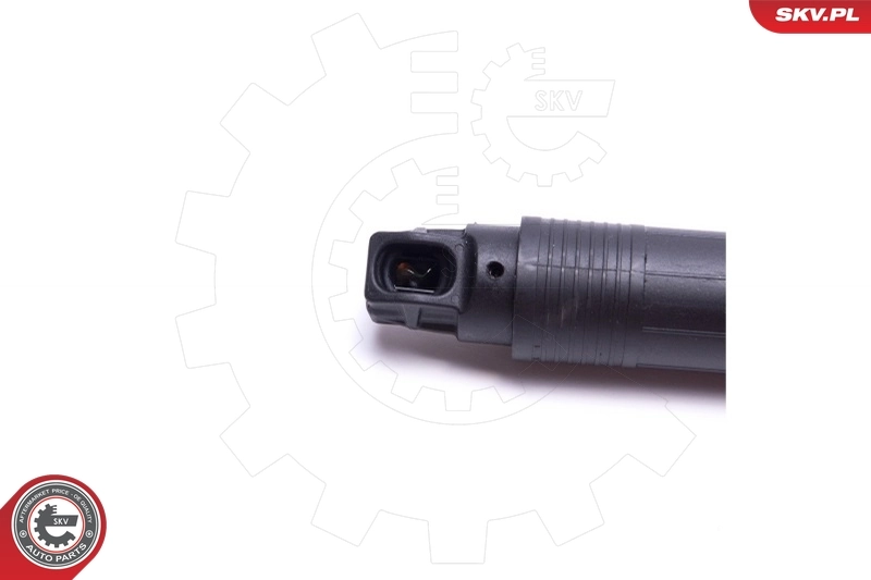 Electric Motor, tailgate 52SKV924