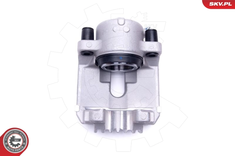 Brake Caliper 56SKV291
