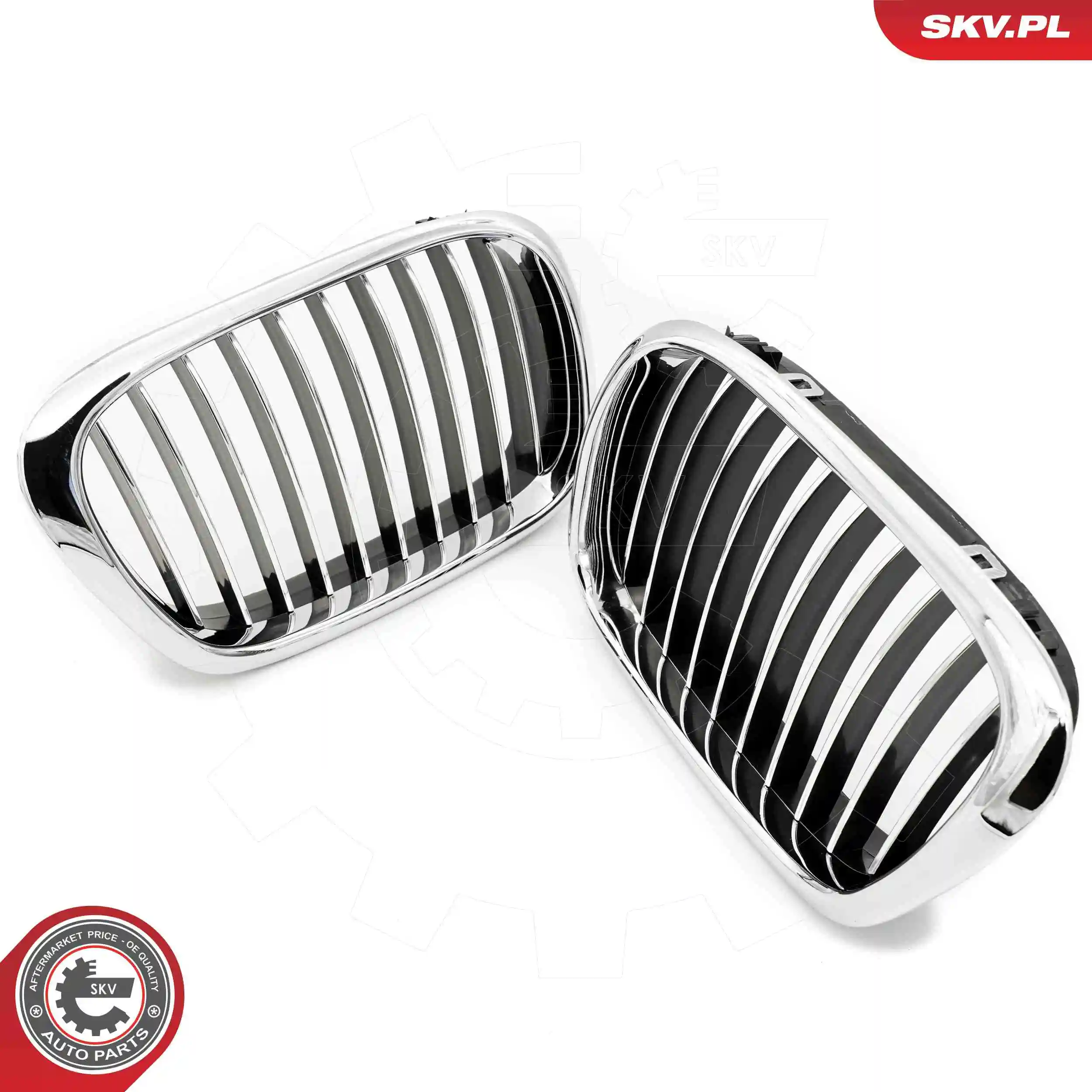 Radiator Grille 66SKV159