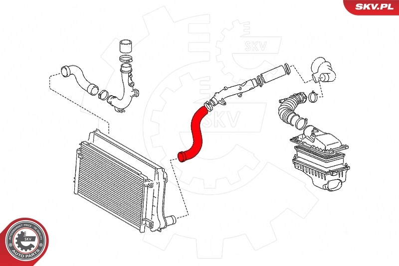 Charge Air Hose 43SKV340