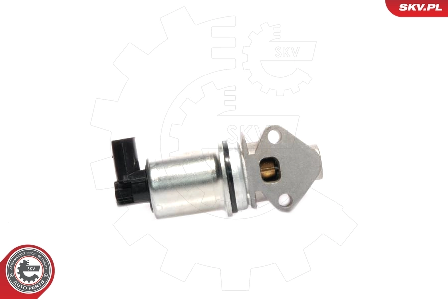 EGR Valve 14SKV016