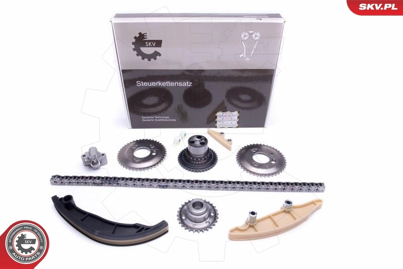 Timing Chain Kit 21SKV189