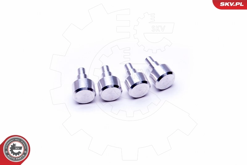 ESEN SKV 49SKV547 Repair Kit, intake manifold module