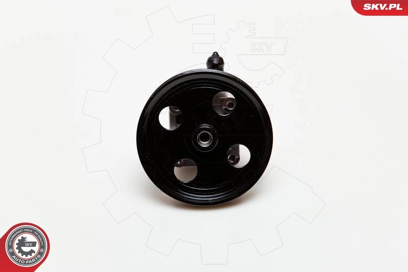 Hydraulic Pump, steering 10SKV177