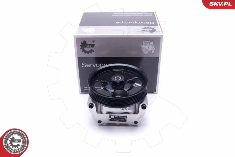 Hydraulic Pump, steering 10SKV304