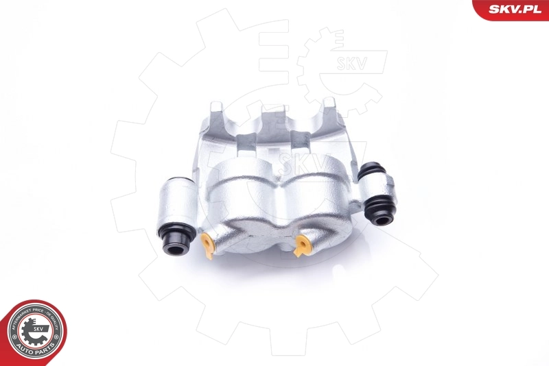 Brake Caliper 42SKV072