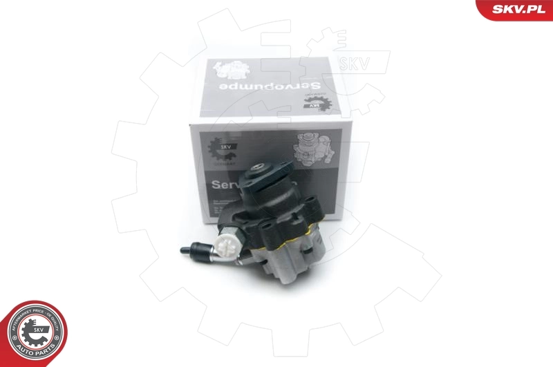 Hydraulic Pump, steering 10SKV190