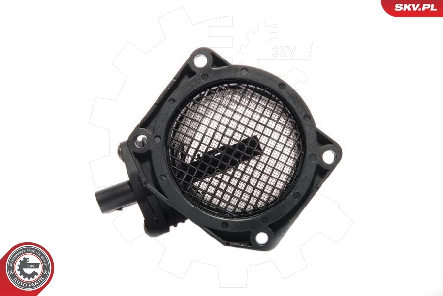 Mass Air Flow Sensor 07SKV042