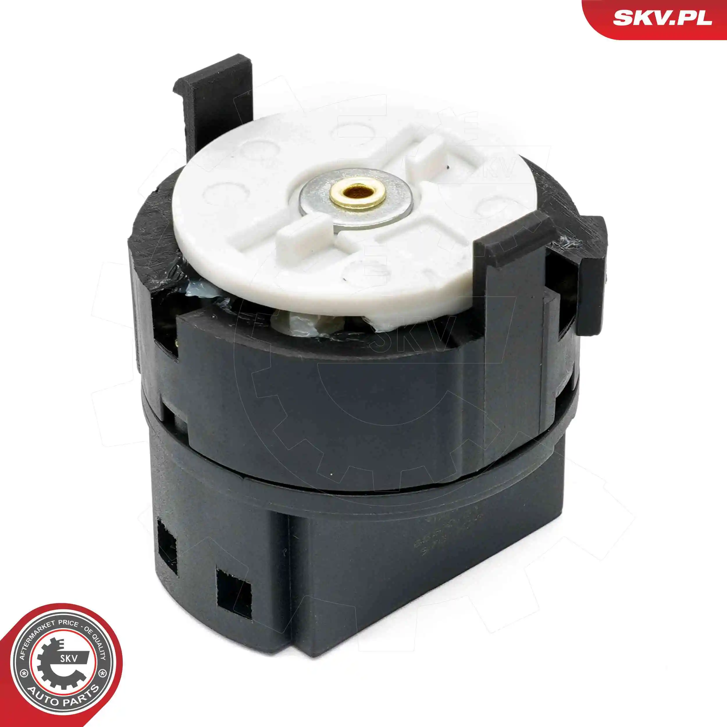 Ignition Switch 65SKV011