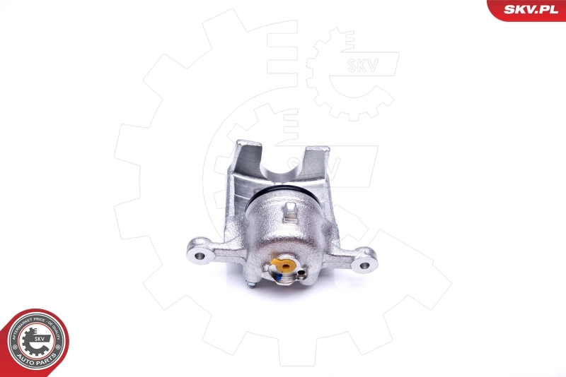 Brake Caliper 42SKV492