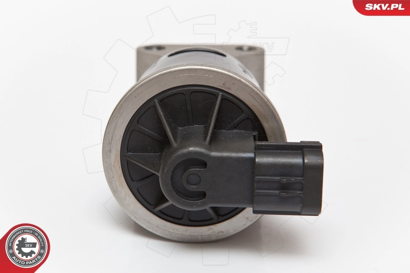 EGR Valve 14SKV053