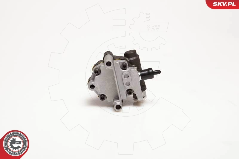 Hydraulic Pump, steering 10SKV094