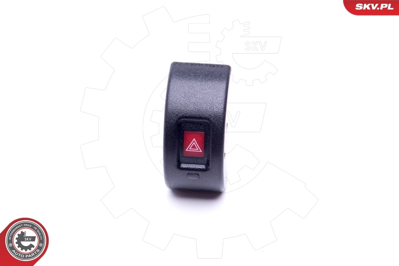Hazard Warning Light Switch 36SKV713