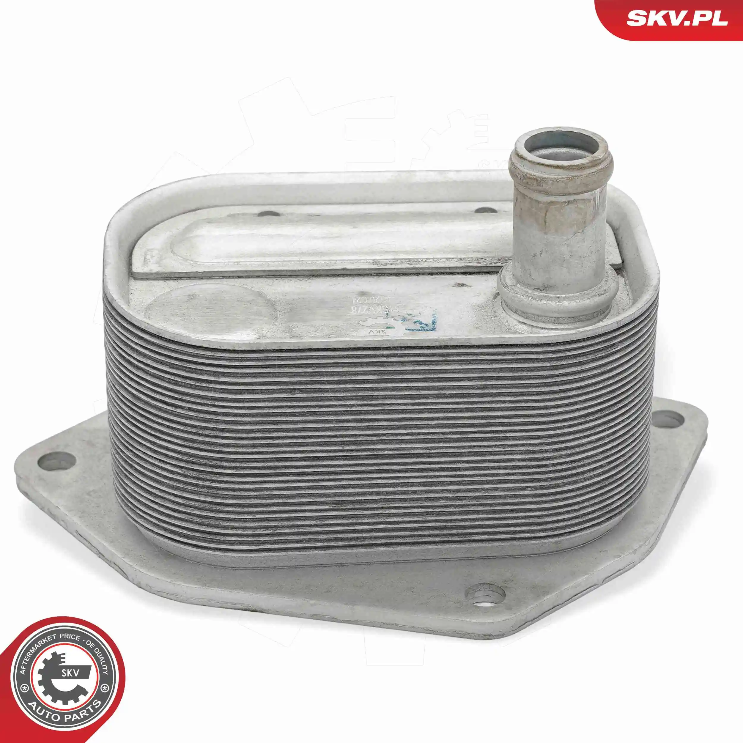 Oil Cooler, engine oil 31SKV278