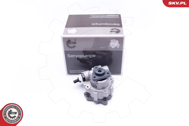 Hydraulic Pump, steering 10SKV242