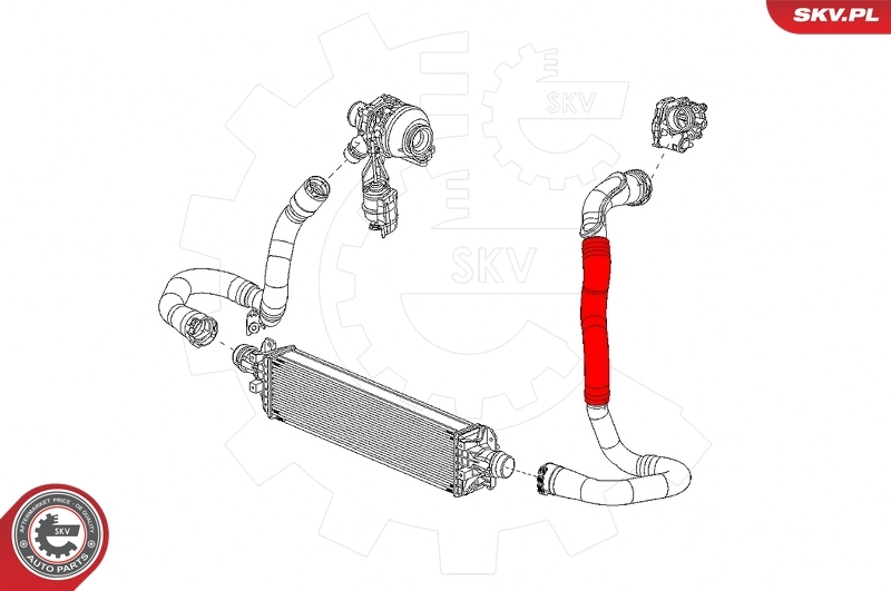 Charge Air Hose 43SKV168