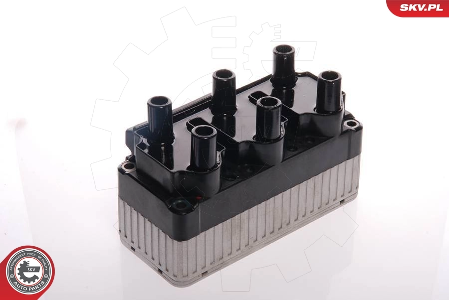 Ignition Coil 03SKV049