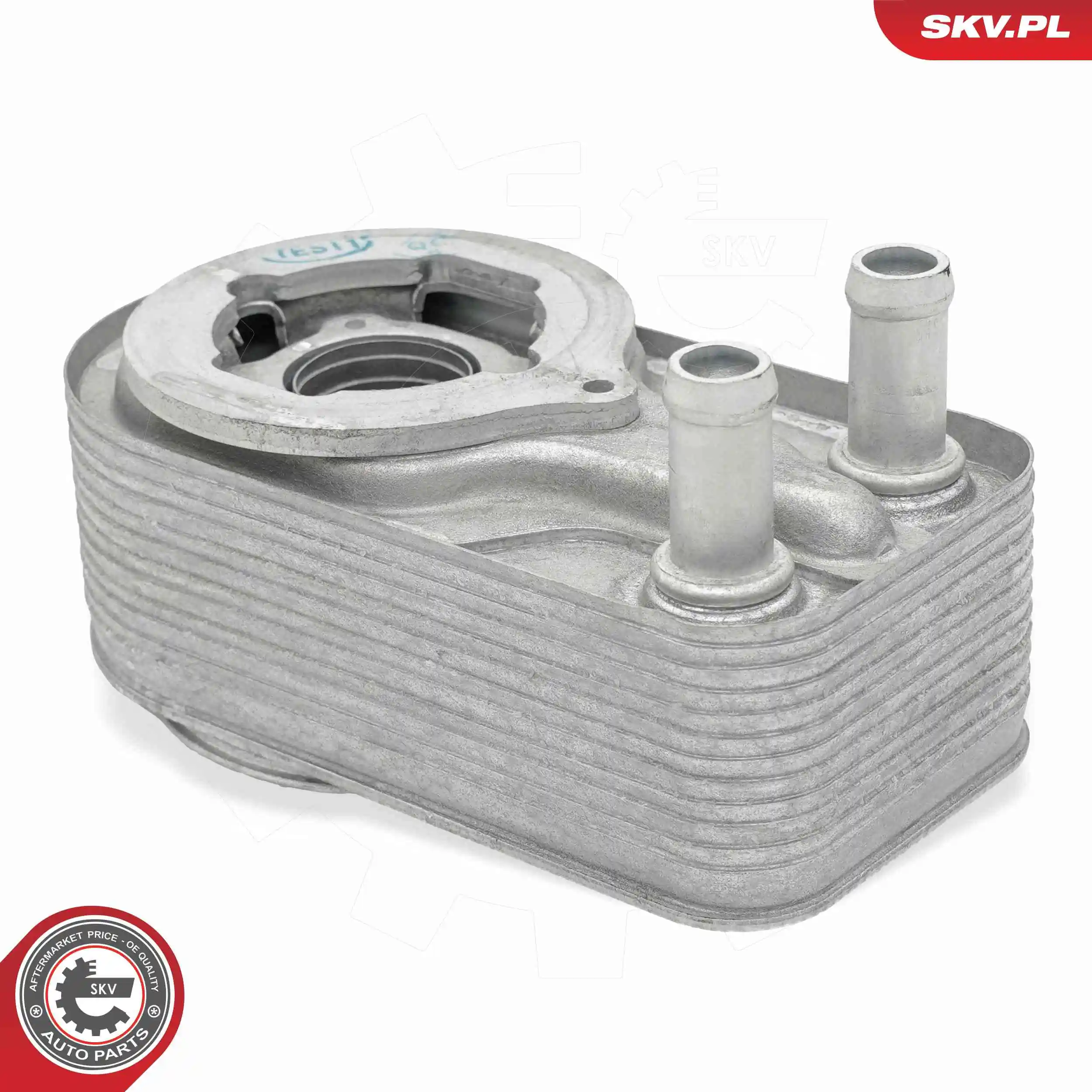 Oil Cooler, engine oil 31SKV352