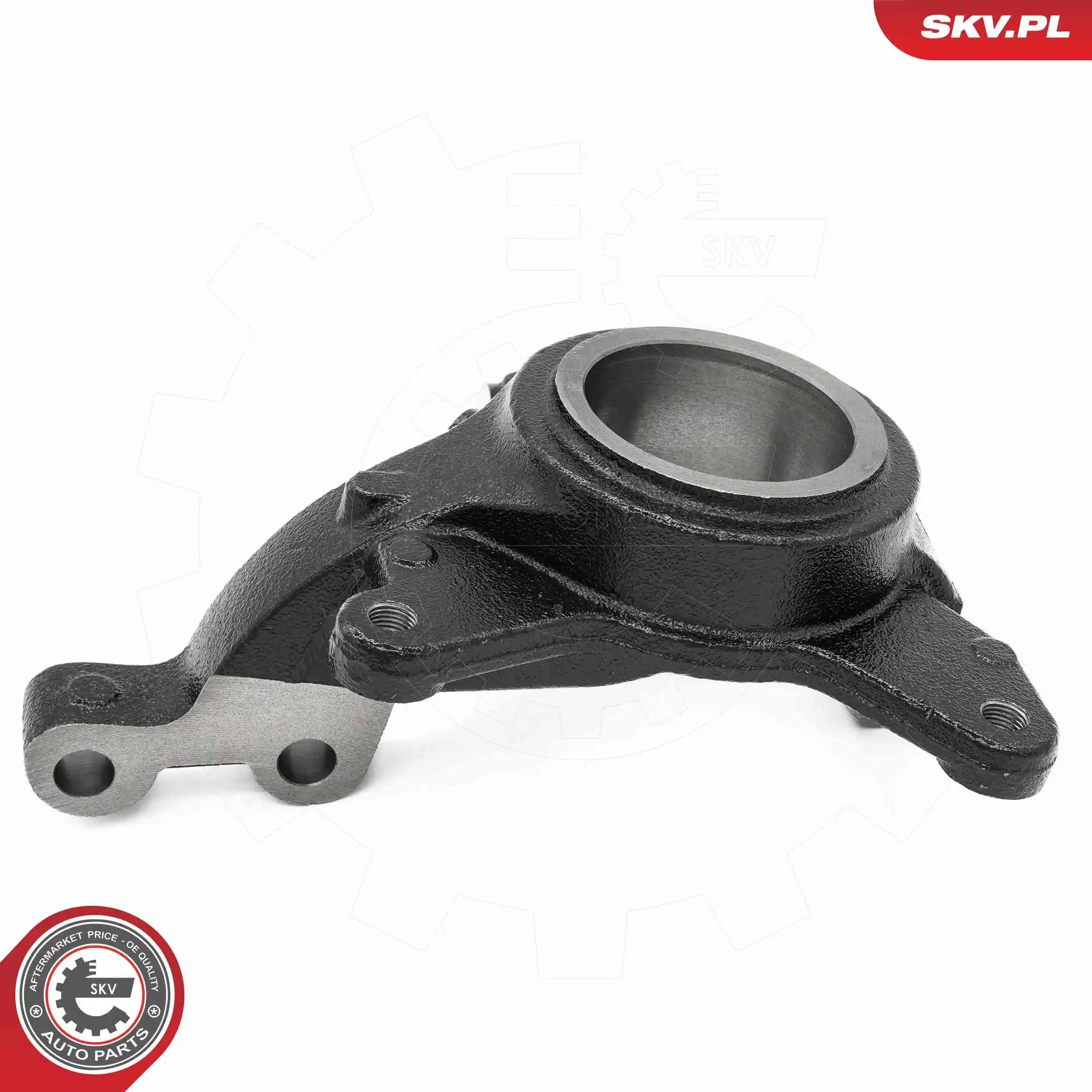Steering Knuckle, wheel suspension 73SKV081