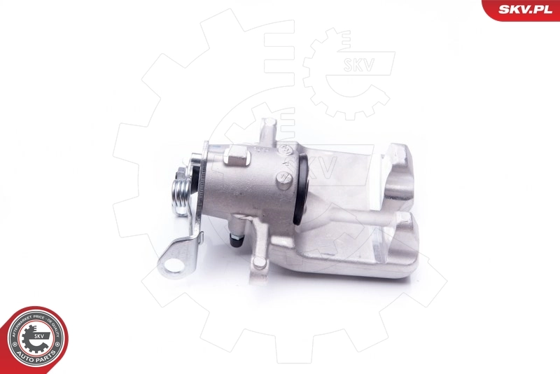 Brake Caliper 42SKV064