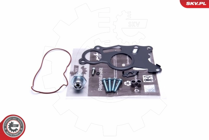Repair Set, vacuum pump (braking system) 18SKV803