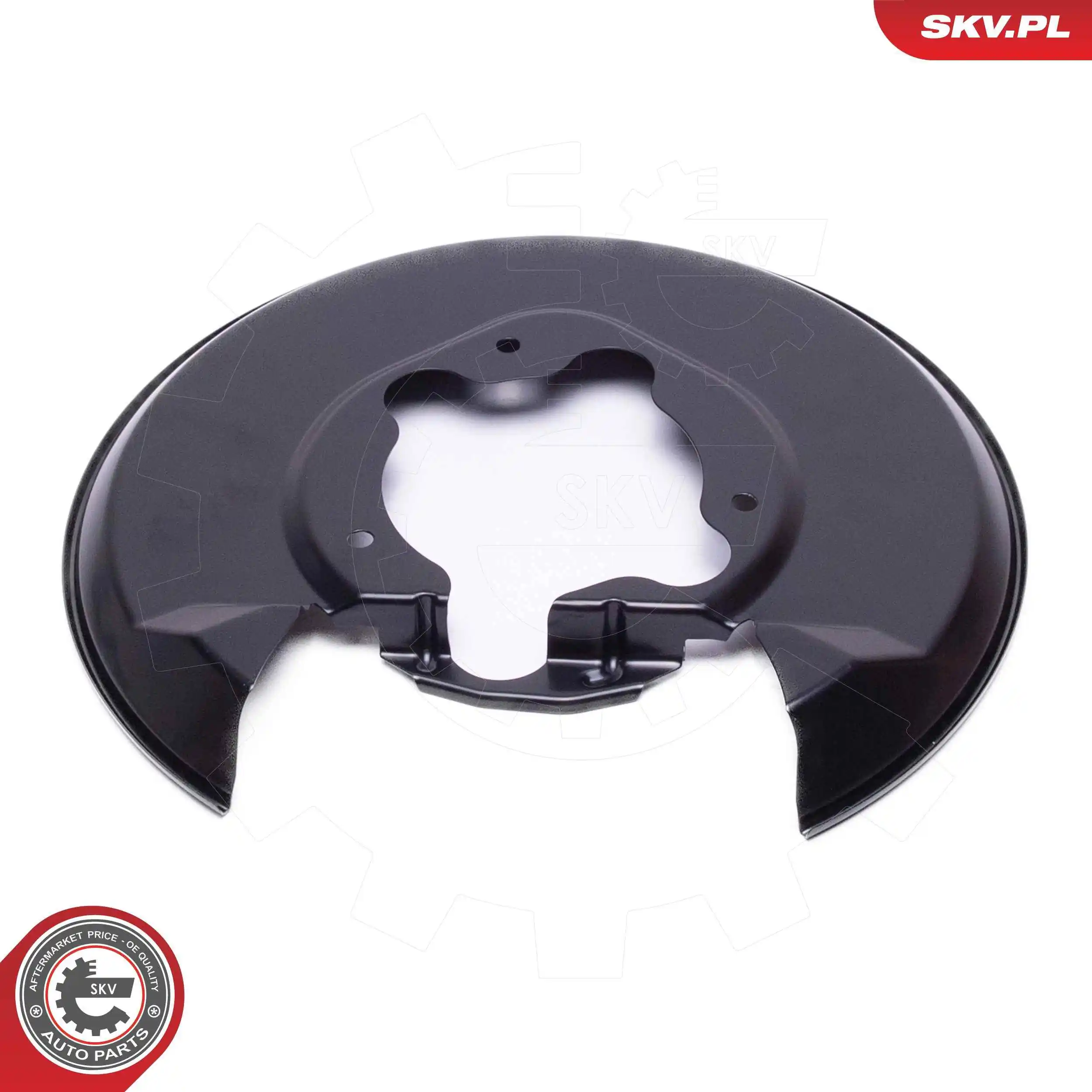 ESEN SKV 57SKV764 Splash Guard, brake disc