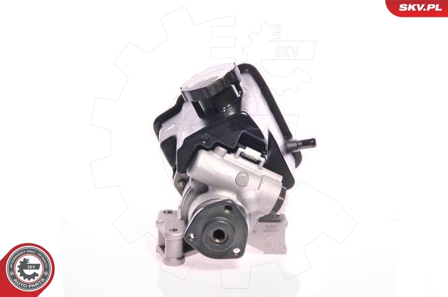 Hydraulic Pump, steering 10SKV162